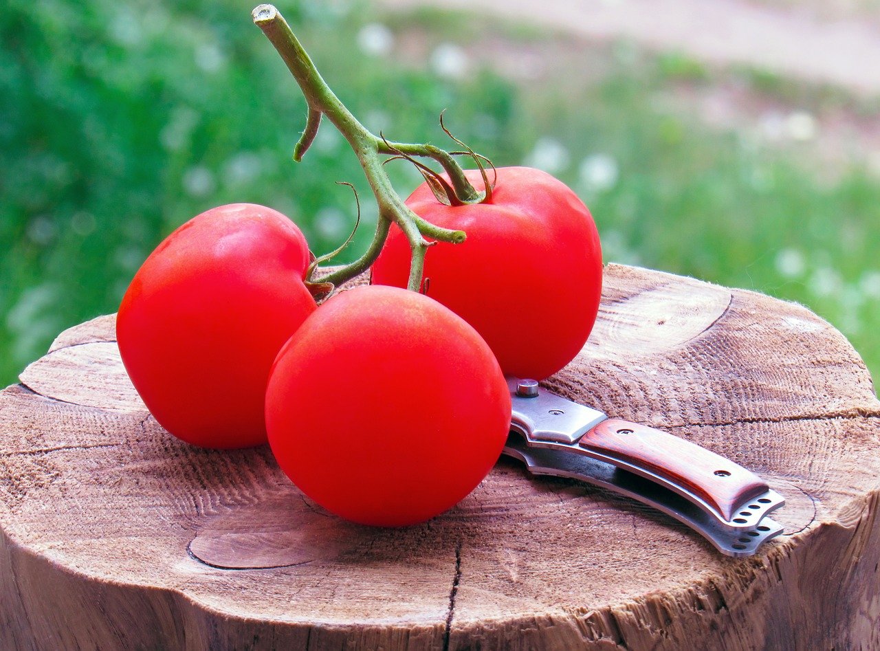 Как томат влияет на человеческий организм: польза и противопоказания овоща