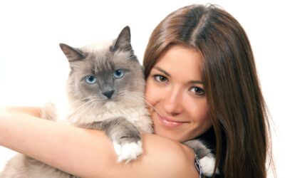 Кошкотерапия или как кошки лечат людей