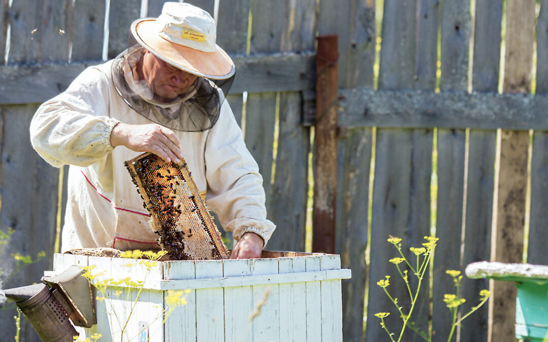 Как выбрать качественный и главное натуральный мед?