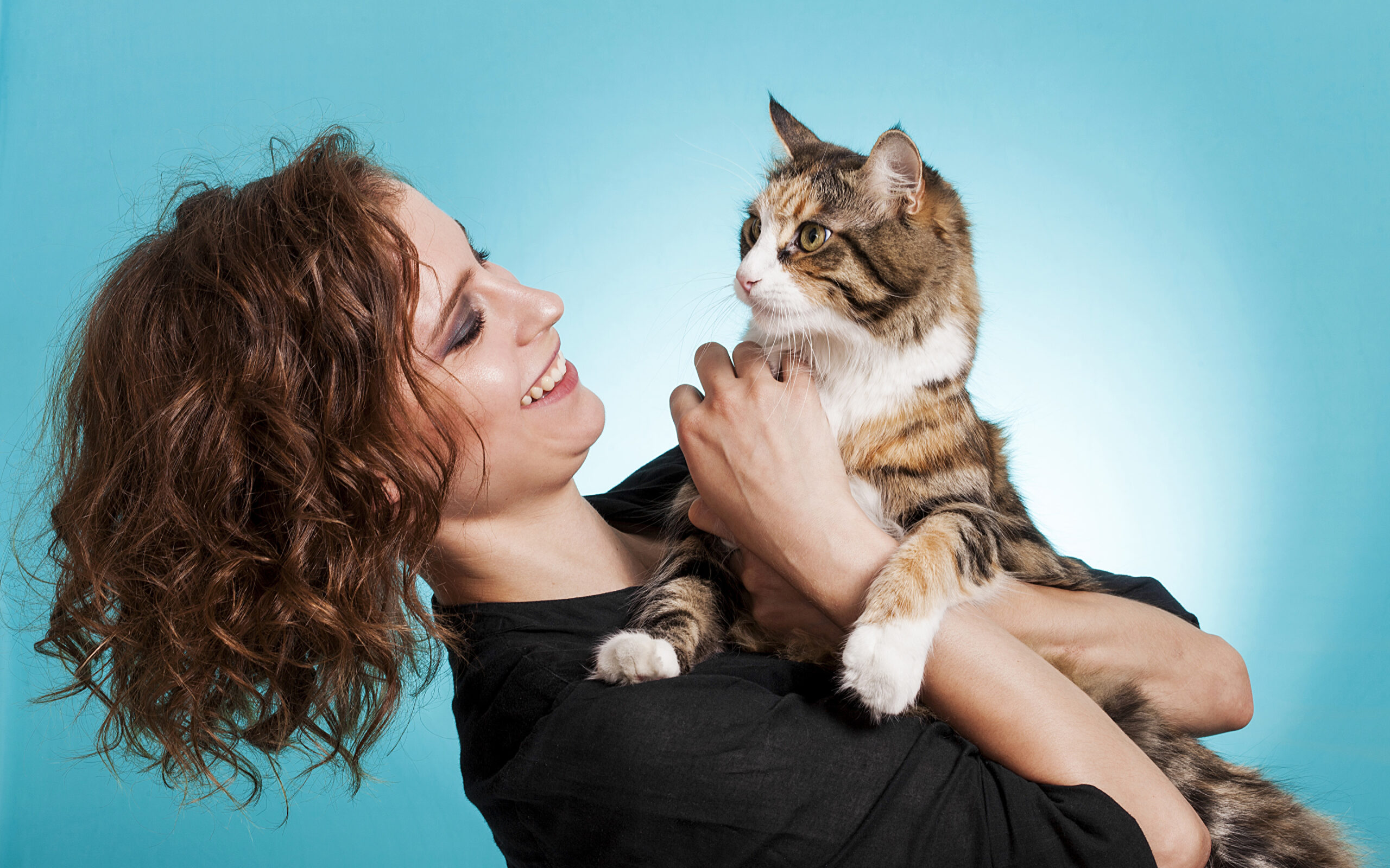 Кошкотерапия или как кошки лечат людей
