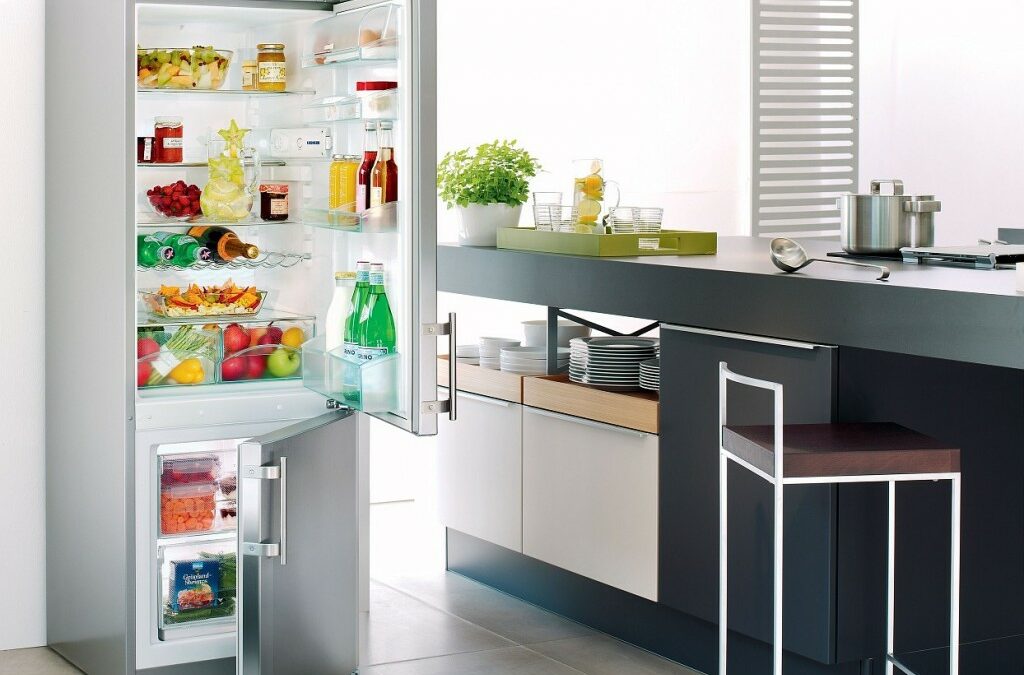Какой холодильник выбрать с фреоном: или изобутаном?